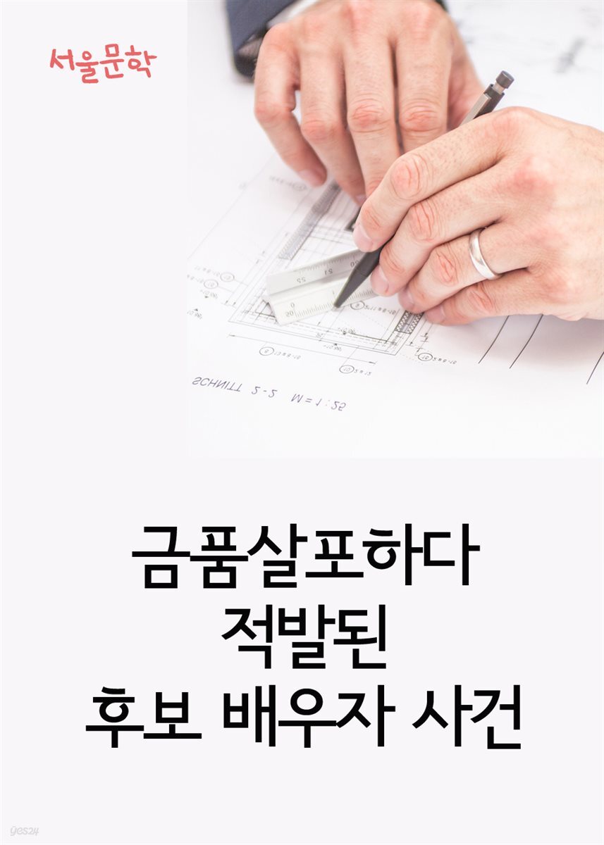 금품살포하다 적발된 후보 배우자 사건 : 사건과 판결문