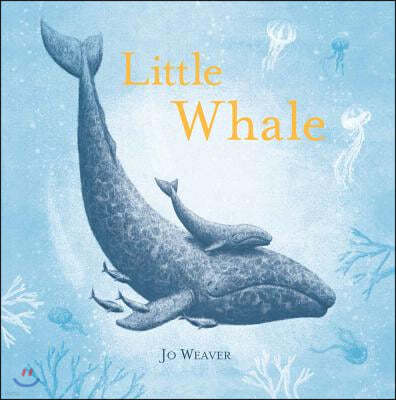 Little Whale