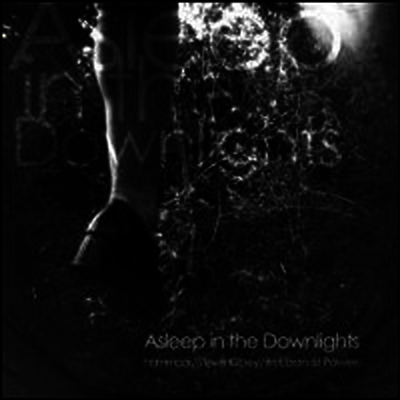 Hammock,Steve Kilbey,Timebandit Powles — Asleep In The Downlights 앨범 커버