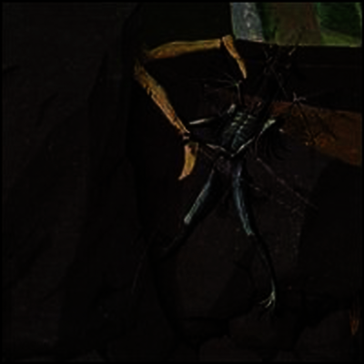 Danava - Hemisphere Of Shadows (Limited Edition)(LP)
