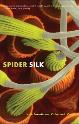 Spider Silk: Evolution and 400 Million Years of Spinning, Waiting, Snagging, and Mating