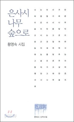 은사시 나무 숲으로