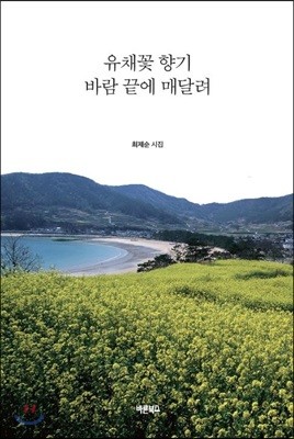 유채꽃 향기 바람 끝에 매달려