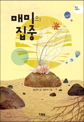 매미의 집중