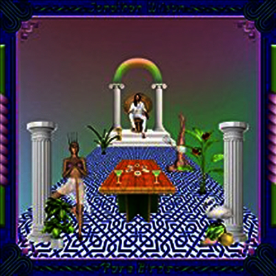 Jonathan Wilson — Rare Birds (Deluxe Edition)(Gatefold Cover) 앨범 커버