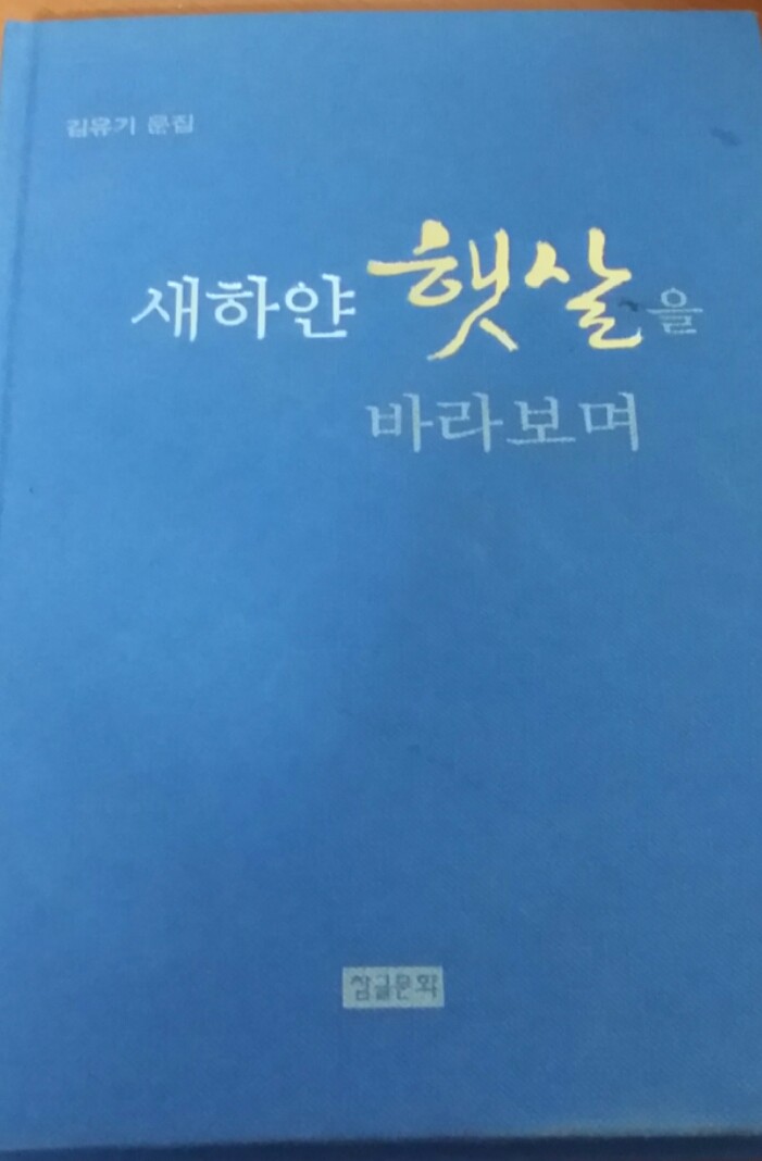 새하얀 햇살을 바라보며