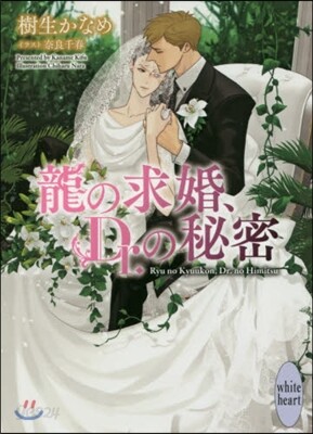 龍の求婚,Dr.の秘密