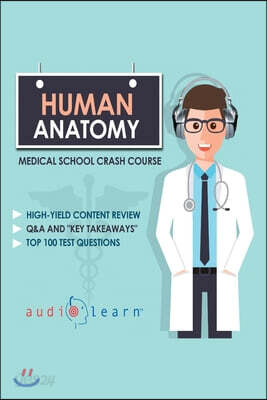 Human Anatomy