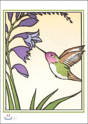 Anna's Hummingbird