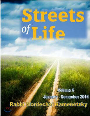 Streets of Life Collection Vol. 6 - 2016: Reflections on Life's Amazing Journeys and the Paths that Lead There
