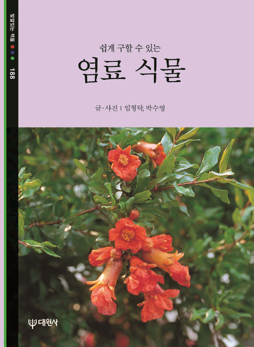 염료식물
