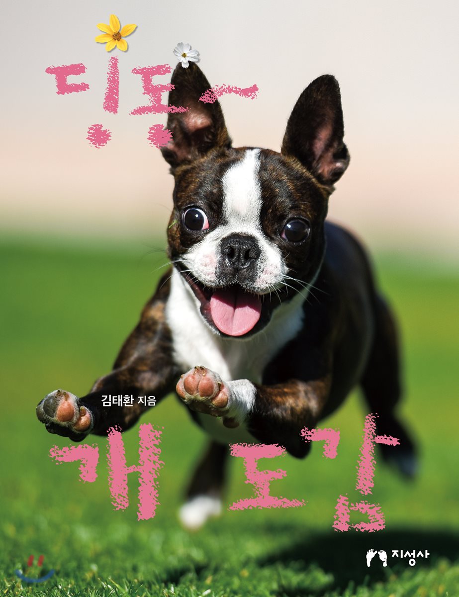 딩동~ 개 도감