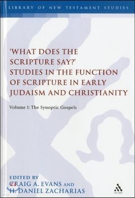 'What Does the Scripture Say?' Studies in the Function of Scripture in Early Judaism and Christianity, Volume 1: Volume 1: The Synoptic Gospels