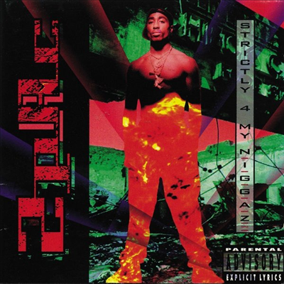 2Pac,Makeveli The Don — Strictly 4 My N.I.G.G.A.Z... 앨범 커버