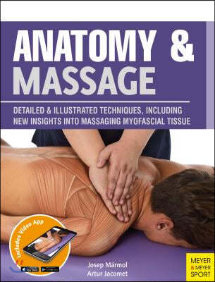 The Anatomy & Massage