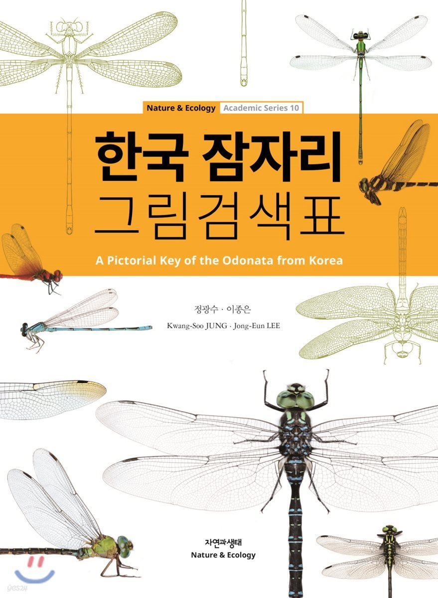 한국 잠자리 그림검색표