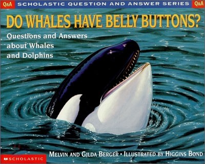 Do Whales Have Belly Buttons?