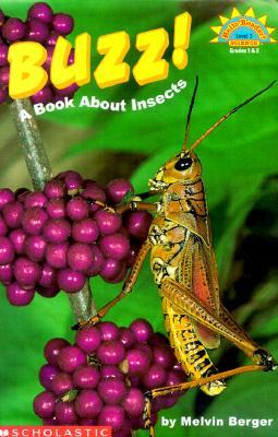 Buzz!: A Book about Insects