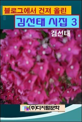 블로그에서 건져 올린 김선태시집 3