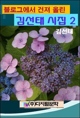 블로그에서 건져 올린 김선태 시집 2