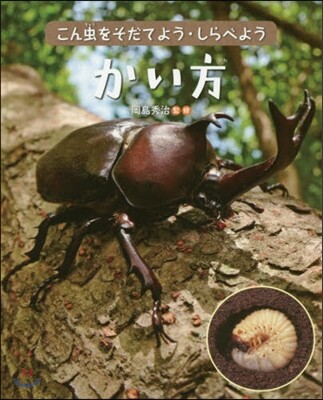 かい方