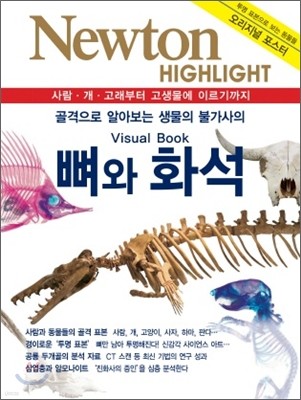 NEWTON HIGHLIGHT 뉴턴 하이라이트 뼈와 화석