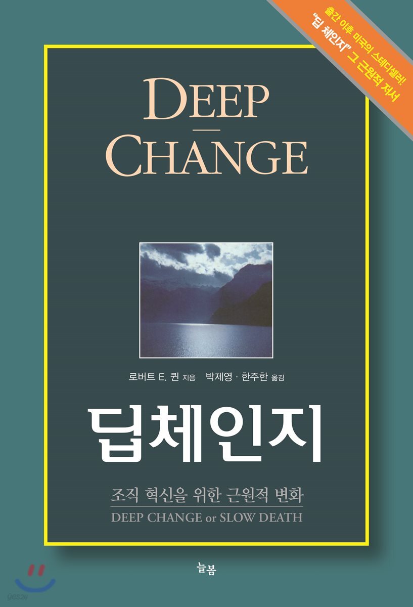 딥체인지