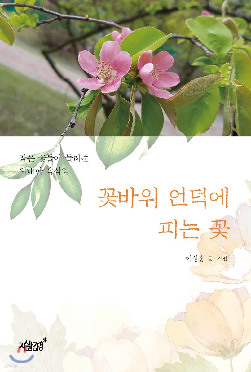 꽃바위 언덕에 피는 꽃