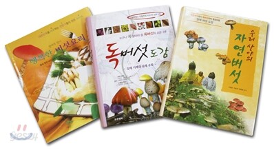 버섯과 버섯요리 세트