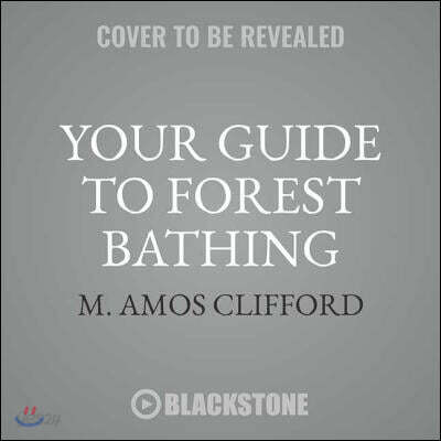 Your Guide to Forest Bathing: Experience the Healing Power of Nature