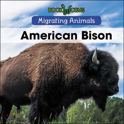 American Bison