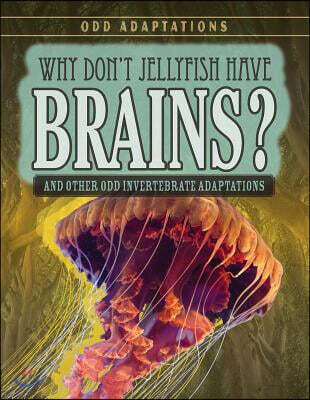Why Don't Jellyfish Have Brains?: And Other Odd Invertebrate Adaptations