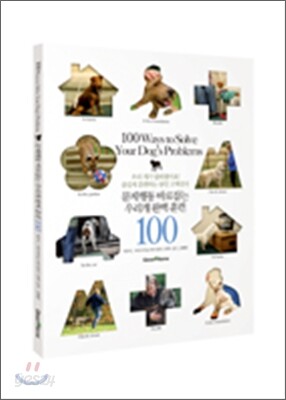 문제행동 바로잡는 우리개 완벽 훈련 100