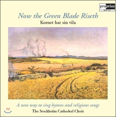Stockholm Cathedral Choir 북유럽 스웨덴 성가 (Now the green blade Riseth) 