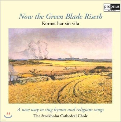 Stockholm Cathedral Choir 북유럽 스웨덴 성가 (Now the green blade Riseth)