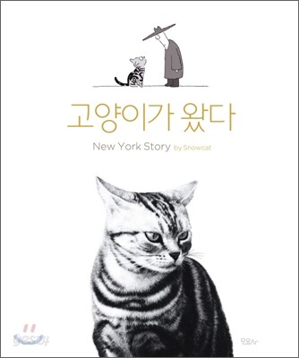 고양이가 왔다