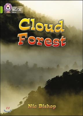 A Cloud Forest