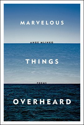 Marvelous Things Overheard
