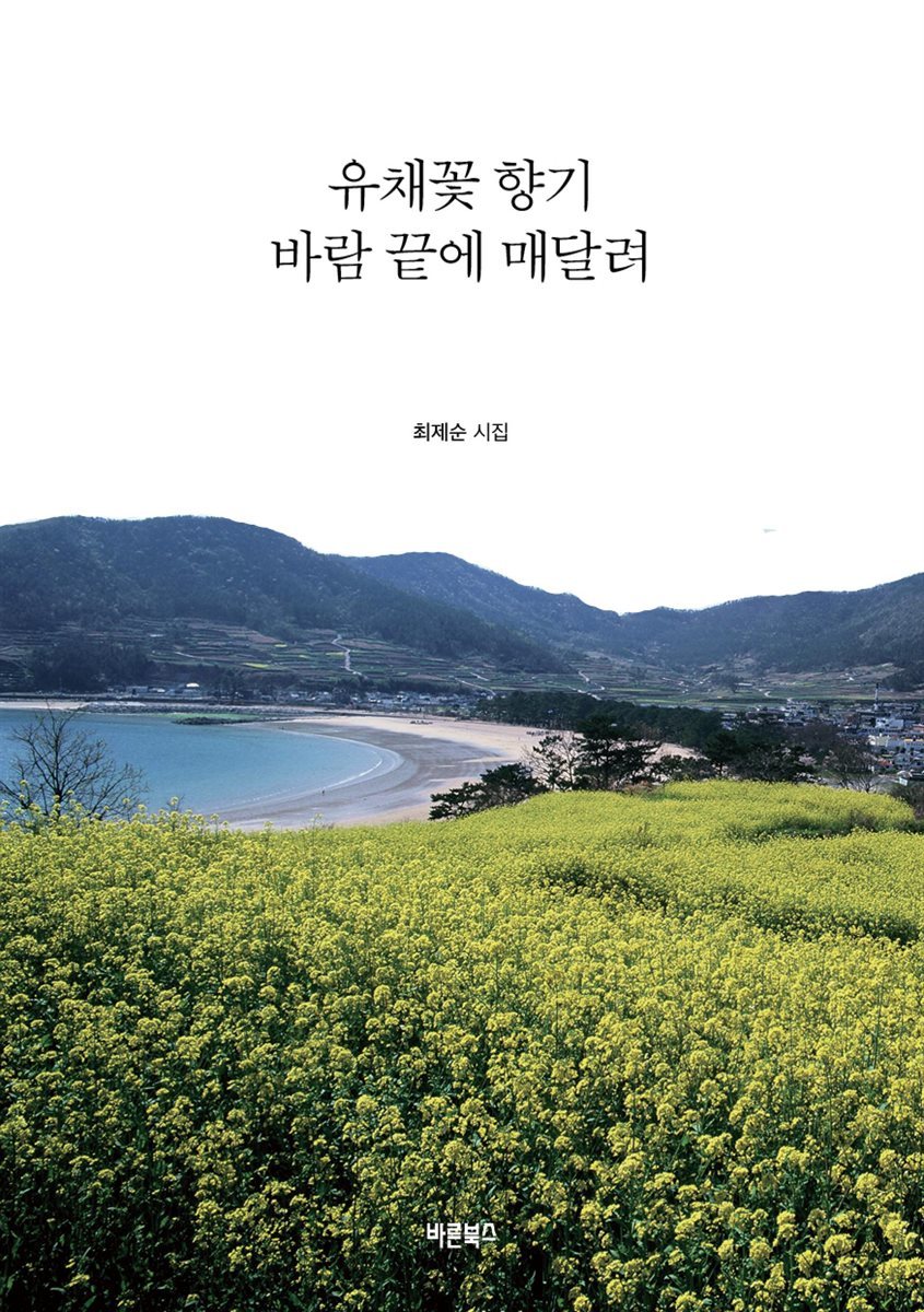 유채꽃 향기 바람 끝에 매달려