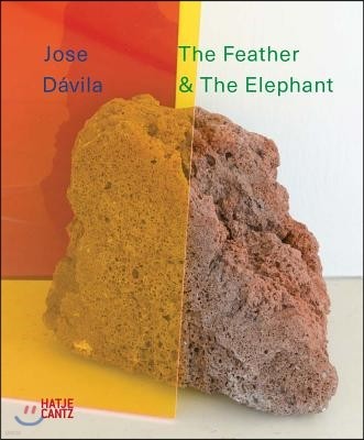 Jose Davila: The Feather and the Elephant