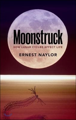 Moonstruck: How Lunar Cycles Affect Life