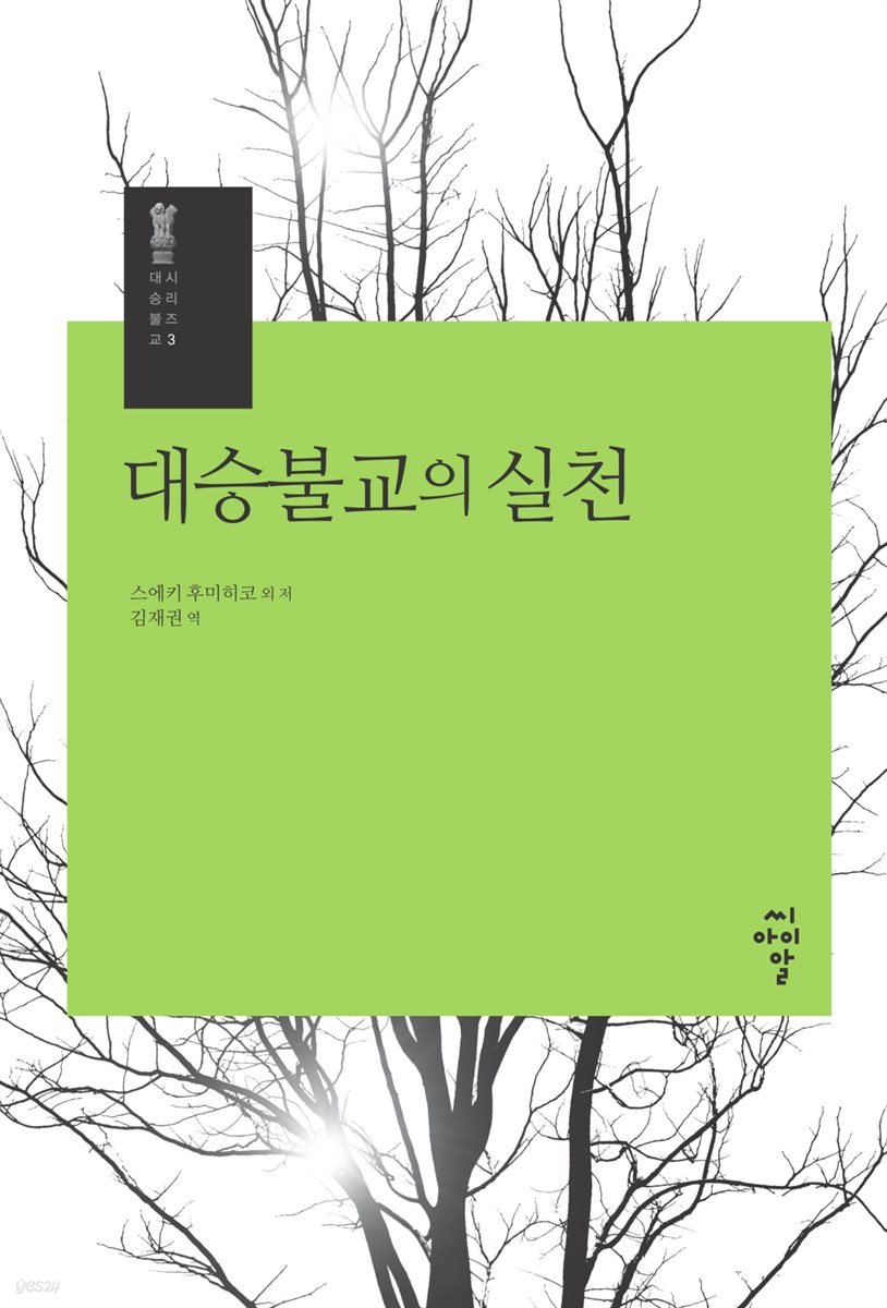 대승불교의 실천 - 시리즈 대승불교 3