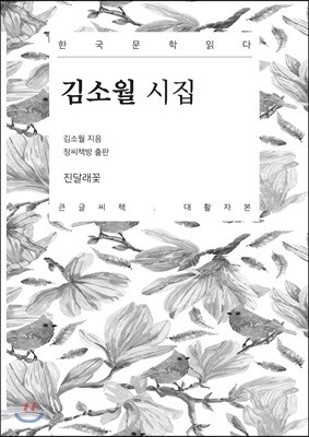 김소월 시집 큰글씨책