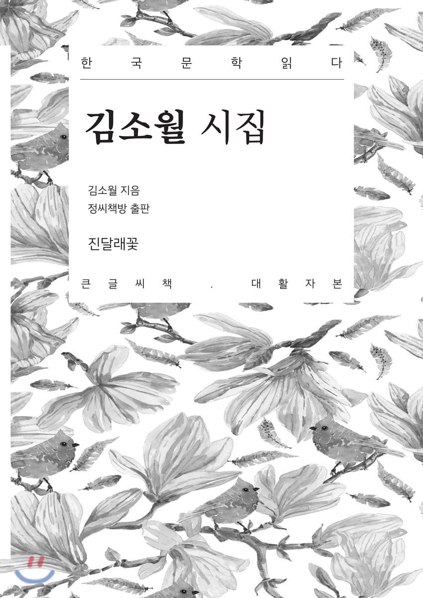 김소월 시집 큰글씨책