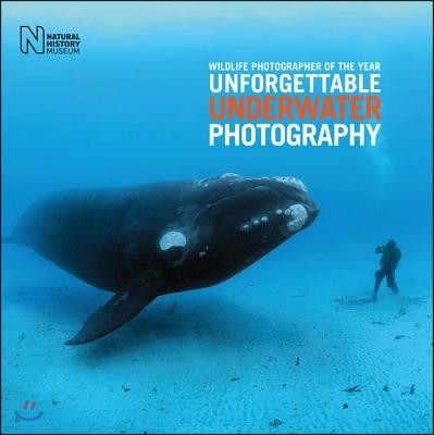 Wildlife Photographer of the Year: Unforgettable Underwater Photography