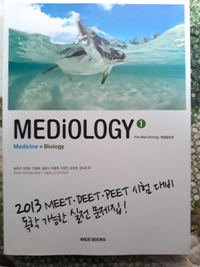 mediology1 메디올로지