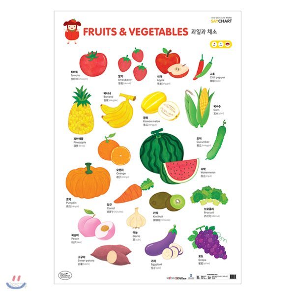 NEW 세이차트 과일과 채소 (다국어로 말하는 벽그림)