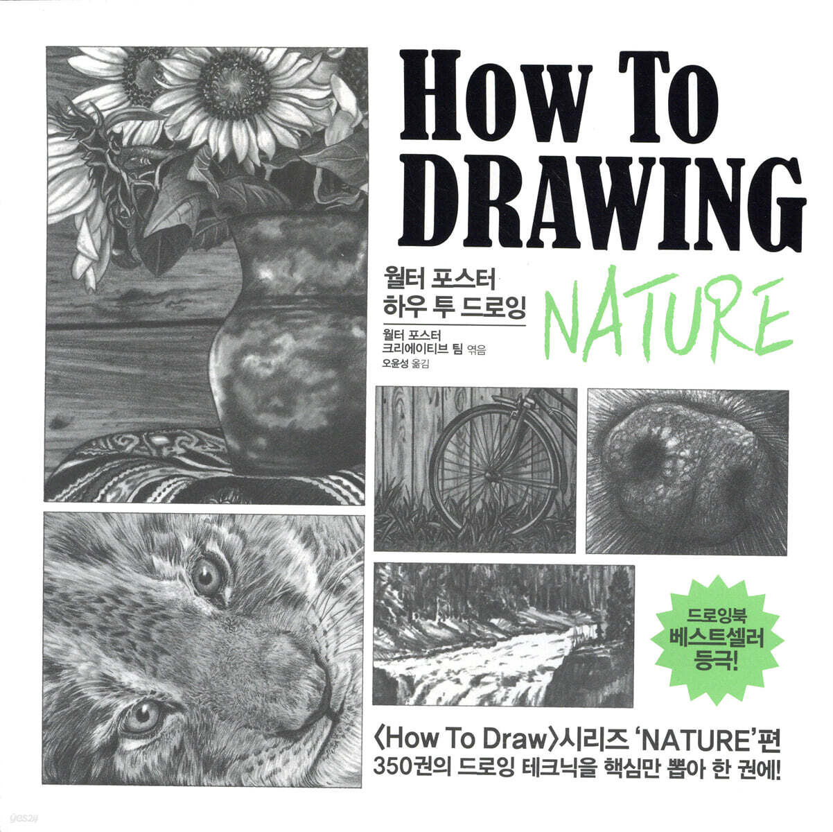 월터 포스터 하우 투 드로잉 네이처 NATURE