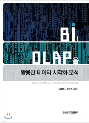 Bi DLAP을 활용한 데이터 시각화 분석