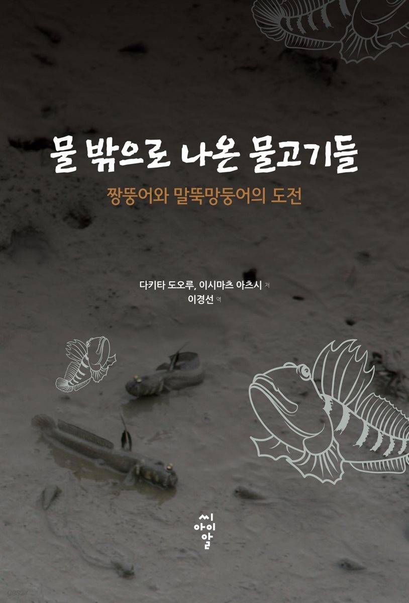 물 밖으로 나온 물고기들